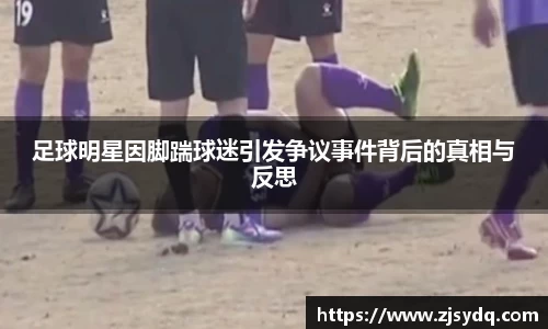 足球明星因脚踹球迷引发争议事件背后的真相与反思